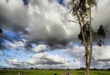 FBsports-《战鼓擂响！欧国联劲旅集结，昂扬斗志点燃绿茵烽火》