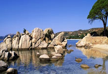 FB体育-梅西的微笑与铜牌雨：德国奥运军团折戟背后的蝴蝶效应