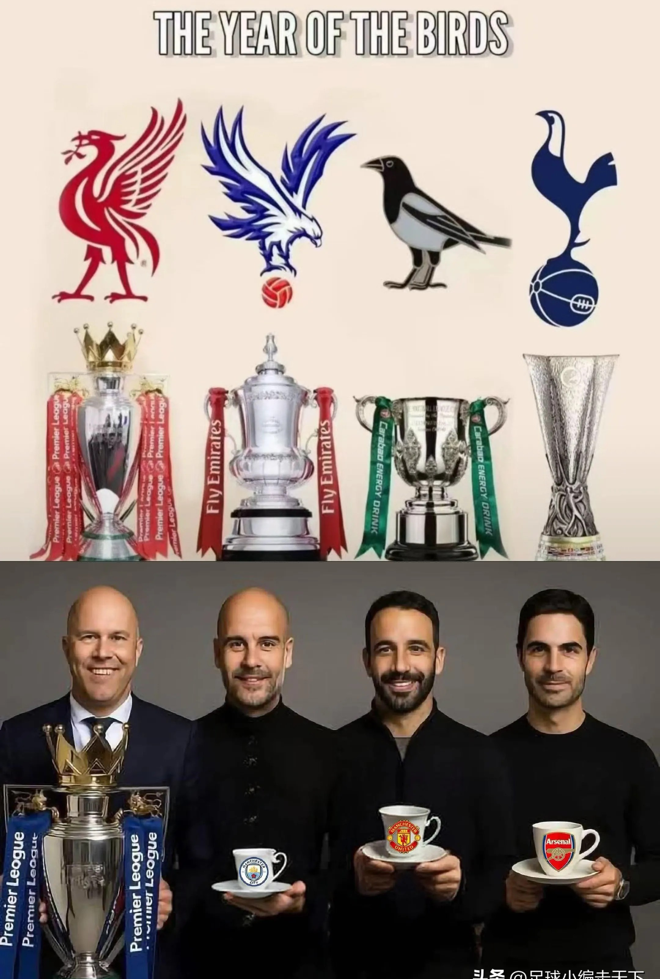 不敌纽卡斯尔，英超积分垫底的简单介绍