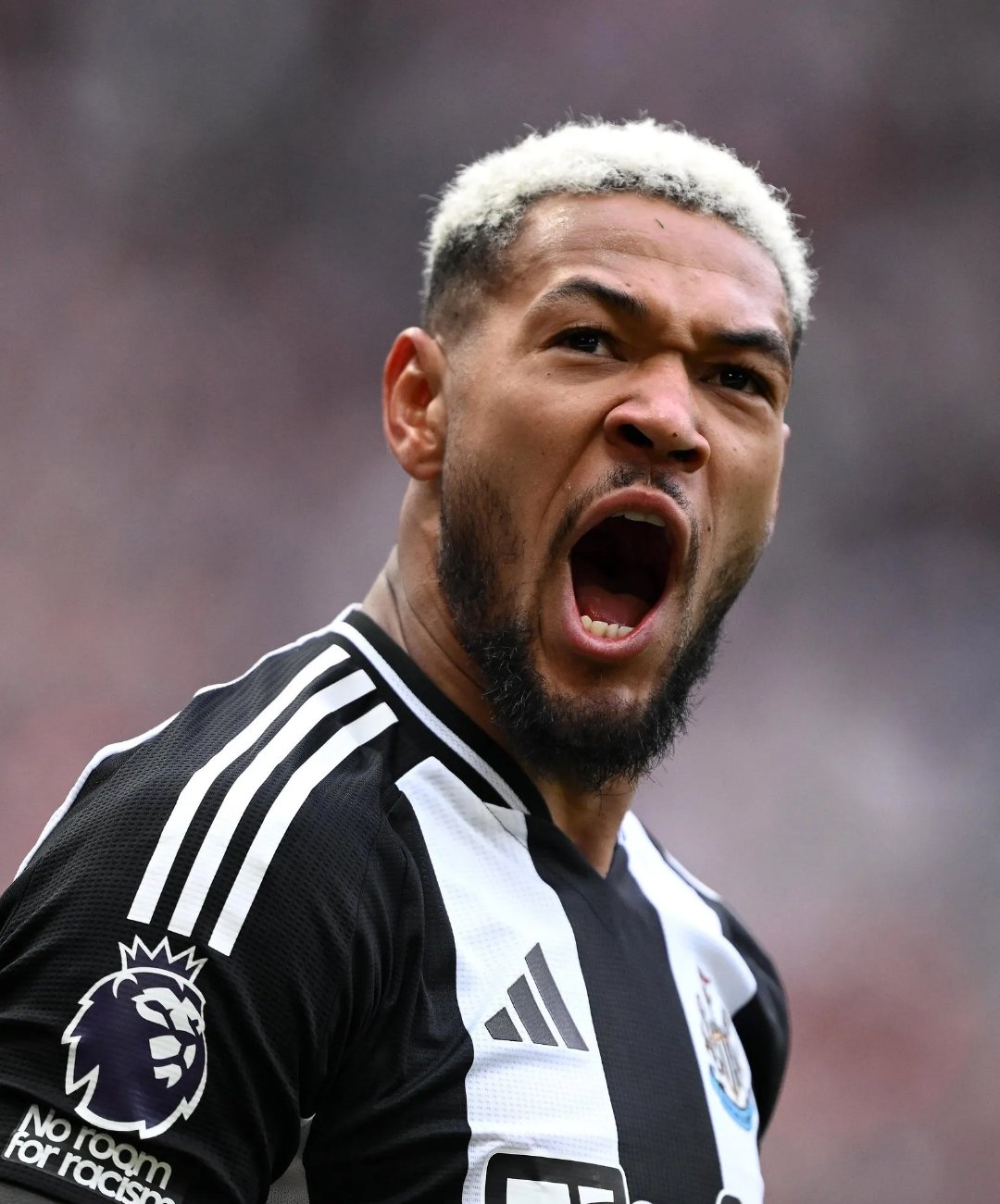 纽卡斯尔联主场大胜，迎来反弹势头的简单介绍