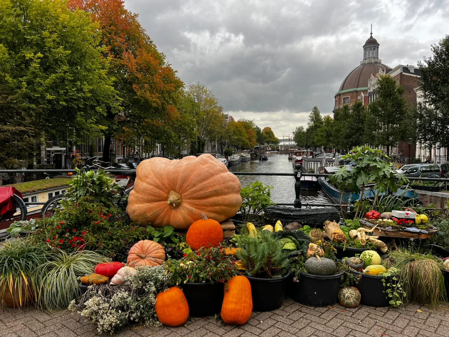 关于阿姆斯特丹连胜在望,实力十分强劲的信息 关于阿姆斯特丹连胜在望,实力十分强劲的信息