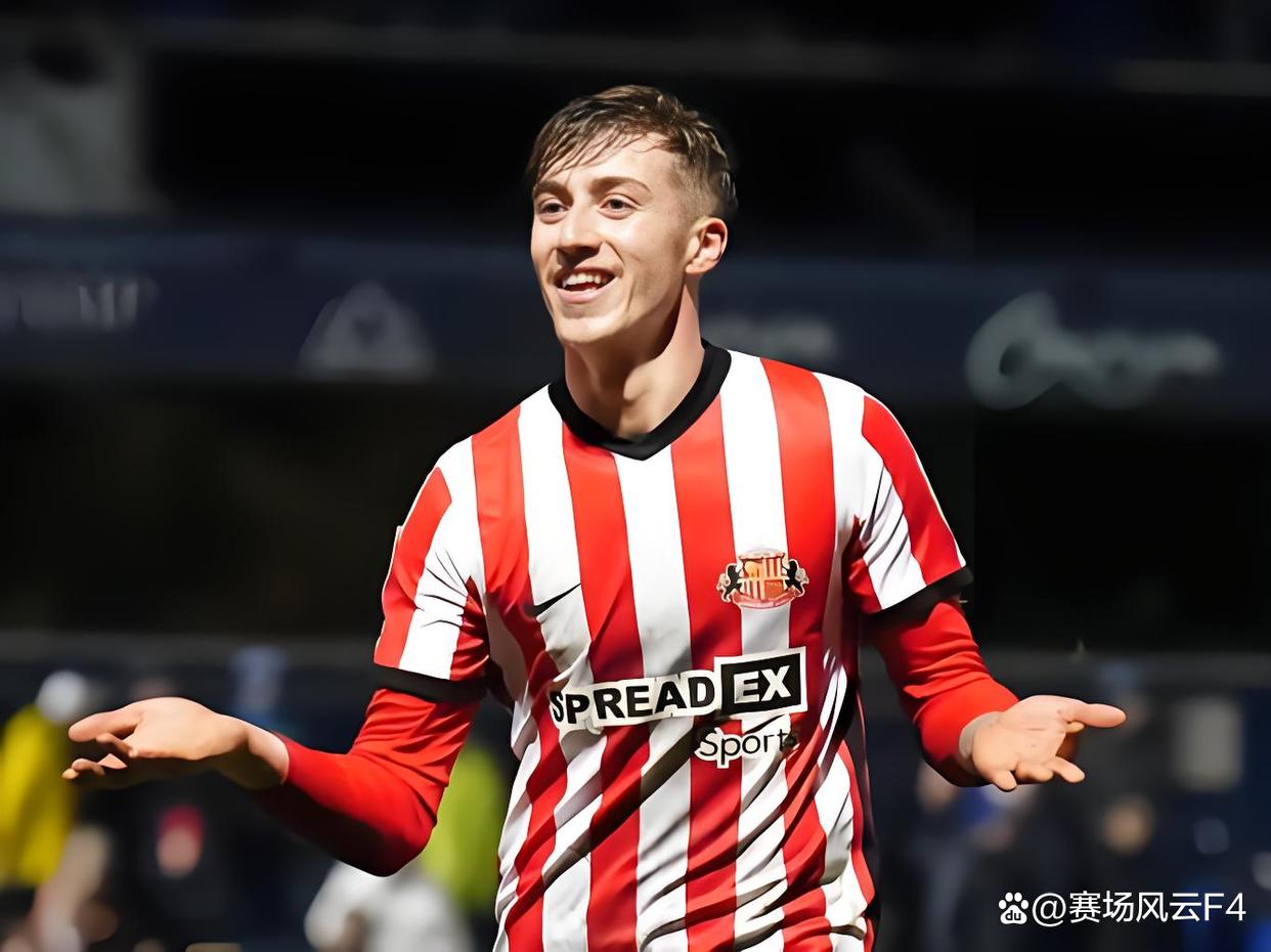 关于热刺复苏，主场击败桑德兰！的信息