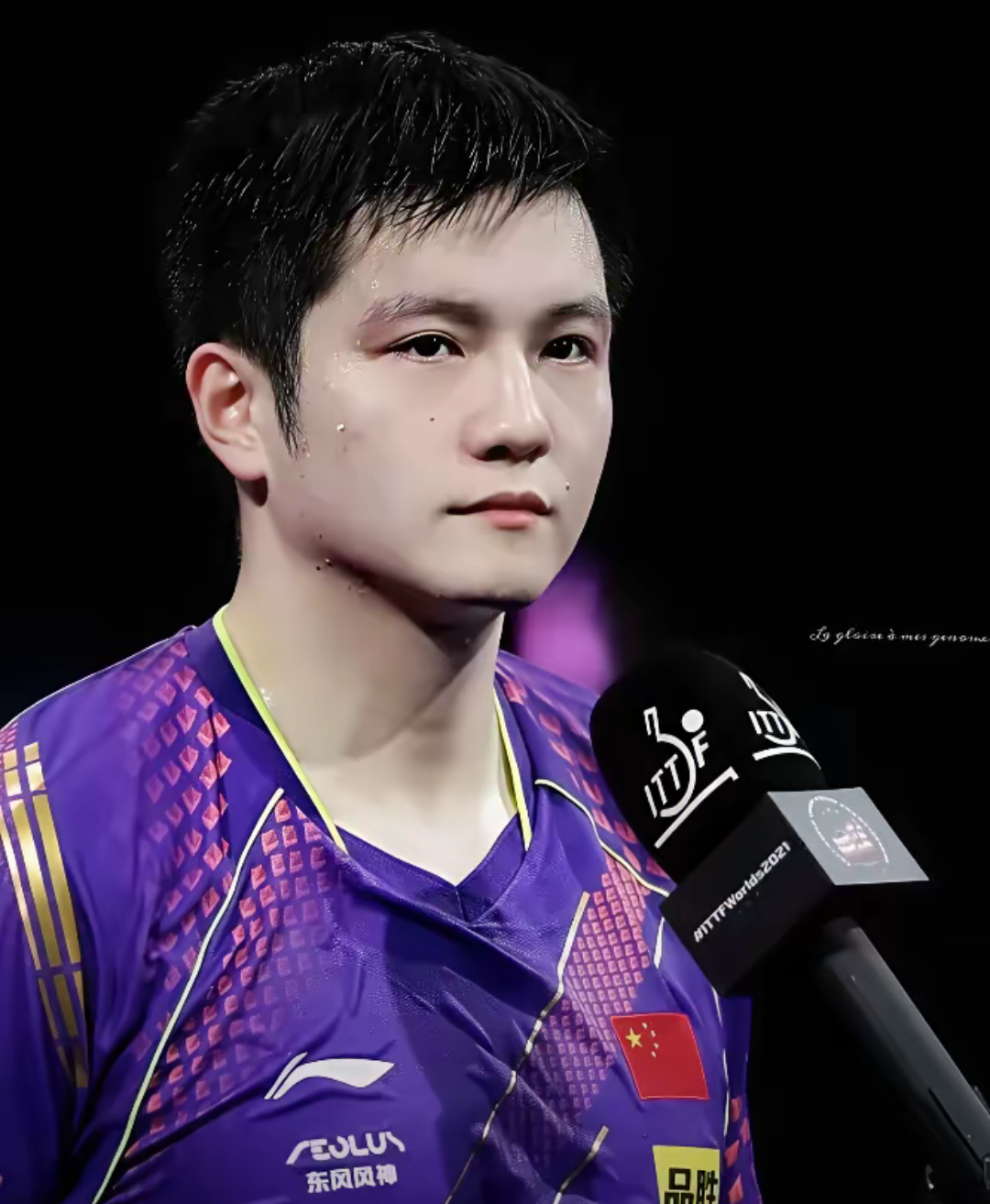 关于中国队险胜德国队，樊振东高光表现的信息